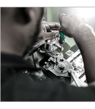 Wera 300 Sabit Torklu Tornavida 0,6Nm Torx TX6 05027930001